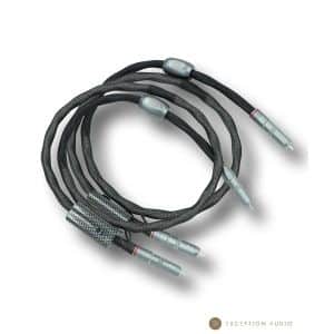 Esprit Audio Eterna G10 câble RCA génération X hifi haute fidélité
