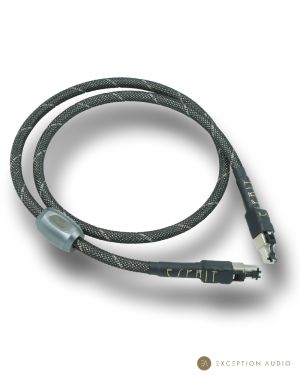 Esprit Audio Beta G10 câble RJ45